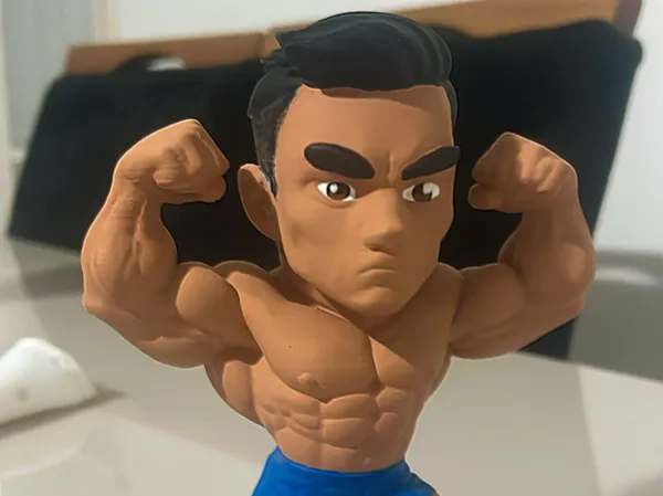 https://makerworld.bblmw.com/makerworld/model/US5b8f71328f58cc/design/2025-04-20_5575d0b1ac368.jpeg