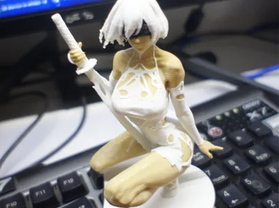 2B - Zen Warrior (Multicolor)