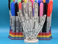 Panneau éducatif à colorier - anatomie de la main — photo 3