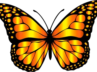 Mariposa