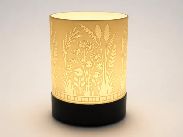 https://makerworld.bblmw.com/makerworld/model/US5b9ac21cdaf753/design/87819cc8abea1124.png