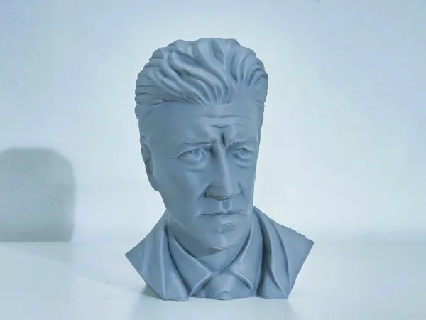 https://makerworld.bblmw.com/makerworld/model/US5b9b15d4b655dc/design/2025-01-22_b71d8bd6ecabe8.jpg