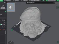 0.2mm layer, 2 walls, 2% infill