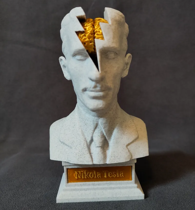 Insights into a Genius: Nikola Tesla