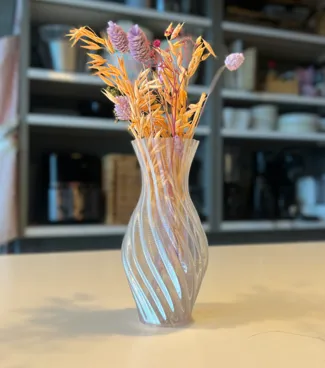 Twisted PETG Vase with Modern Aesthetic