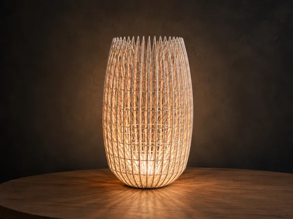 https://makerworld.bblmw.com/makerworld/model/US5baa444d65e535/design/a1be113875459392.png