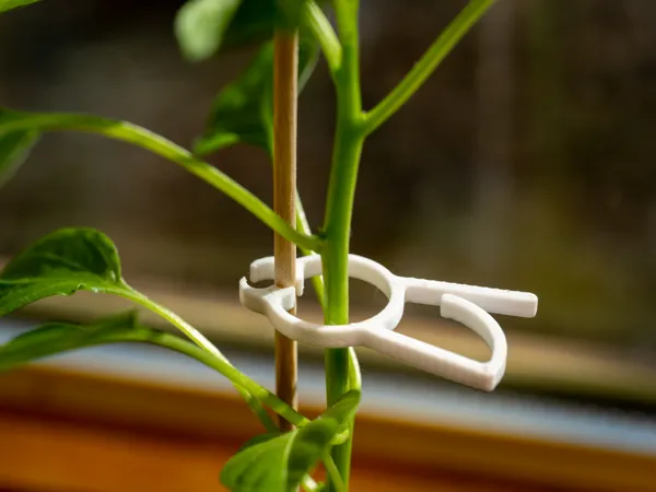 https://makerworld.bblmw.com/makerworld/model/US5bb04bfddbcd26/design/2025-02-17_9aa8e02193963.jpg