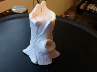 Tree Stump