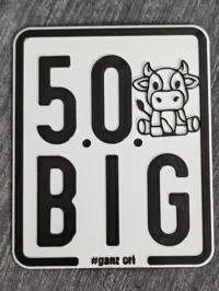 0.16mm layer, 6 walls, 100% infill, ohne Ams