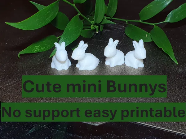 https://makerworld.bblmw.com/makerworld/model/US5bc4fd8dc99efd/design/2025-02-16_66076f6ed244d.jpg