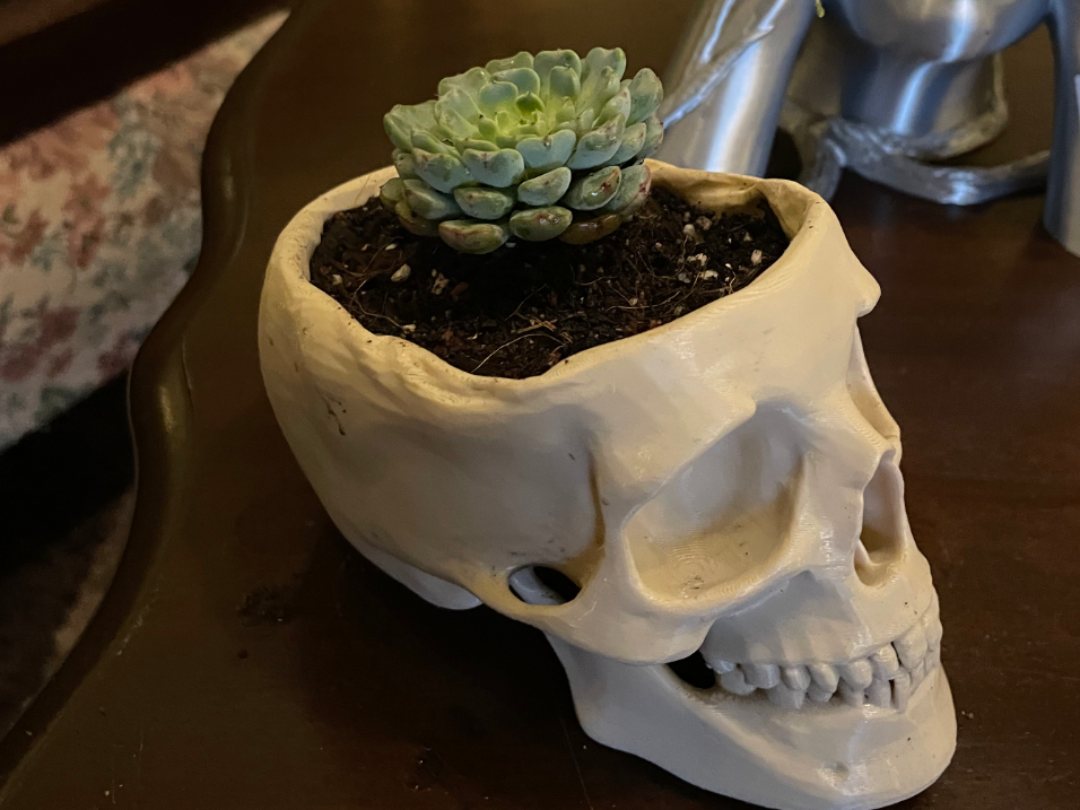 Skull Planter // Plant Pot 