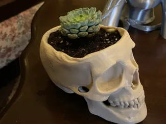 Skull Planter // Plant Pot