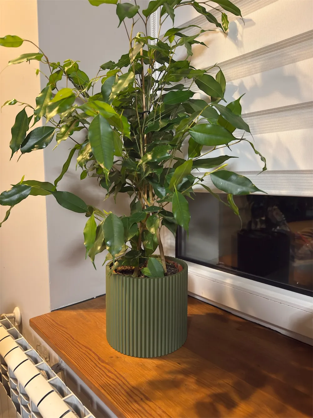 Modern Textured Planter flower pot - Free 3D Print Model - MakerWorld