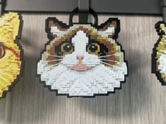 Voxel Gaze