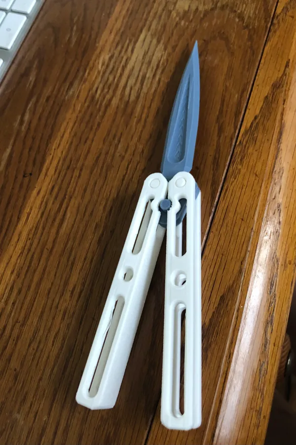 https://makerworld.bblmw.com/makerworld/model/US5bd9b5ae61042/design/2024-04-22_2e06493f87aa.jpeg