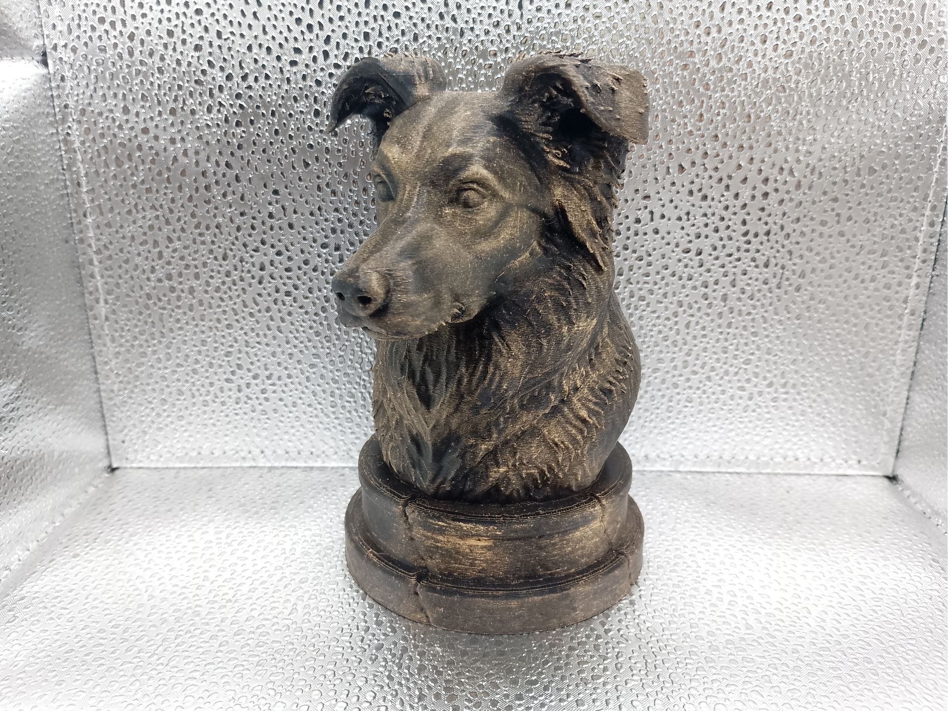 Border Collie Bust