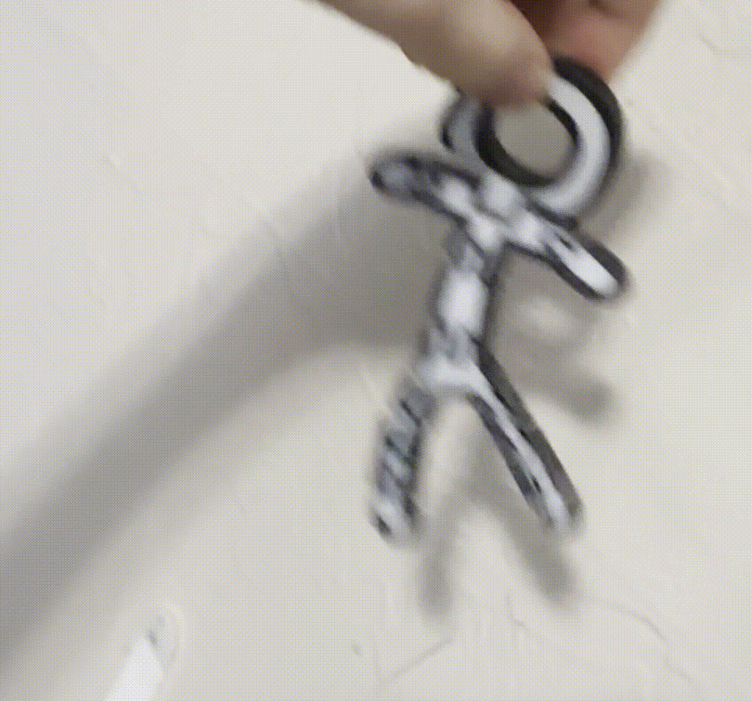 Floppy