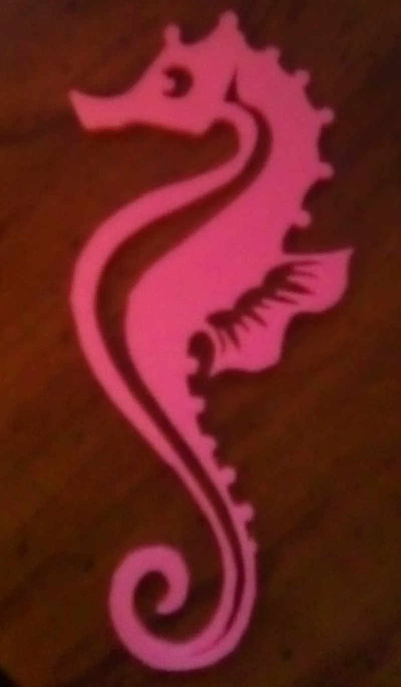 seahorse