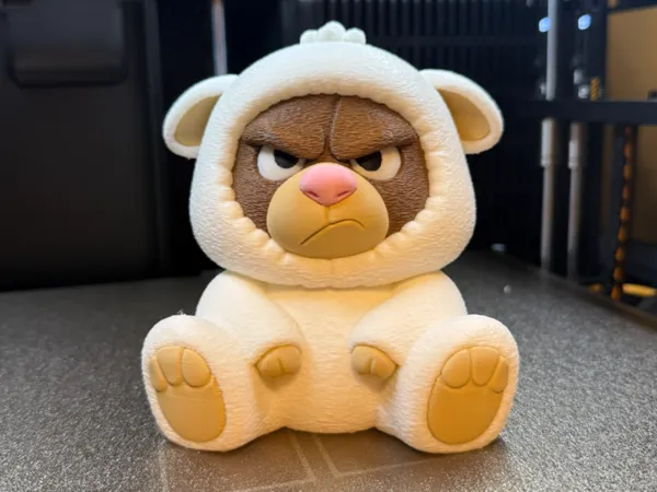 https://makerworld.bblmw.com/makerworld/model/US5bf0d47dae3998/design/6499ceeeac298d8c.jpeg
