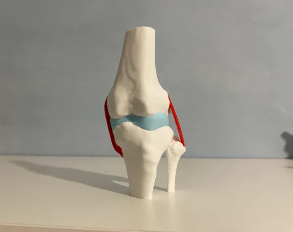 https://makerworld.bblmw.com/makerworld/model/US5bf4fc7ebdd44e/design/2024-09-19_c210d112e76c1.jpeg