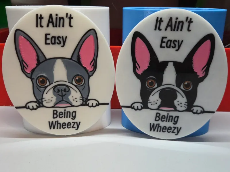 Wheezy Boston Terrier