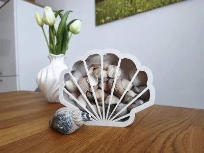 Shell Storage Box
