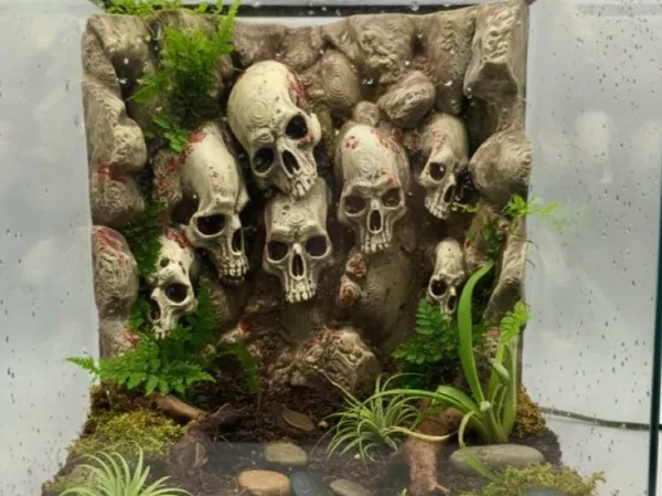 https://makerworld.bblmw.com/makerworld/model/US5bfeb069791e2e/design/8c0752fc52745dc7.jpg