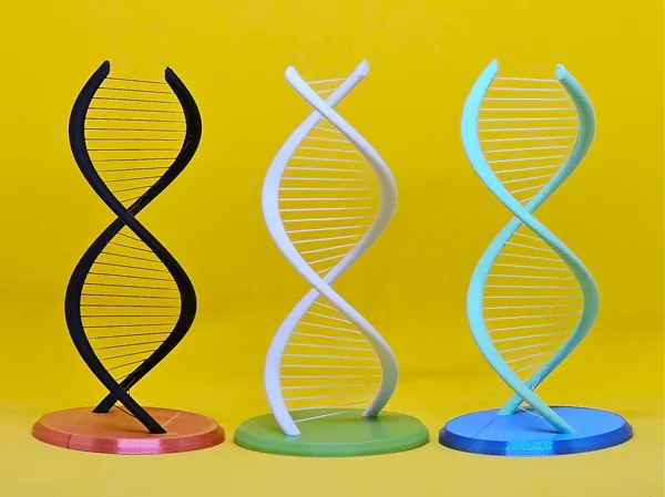 https://makerworld.bblmw.com/makerworld/model/US5bff62a12f9ed8/design/2024-05-30_6fcf3d5d9c968.jpg