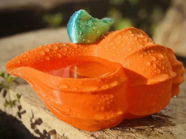 https://makerworld.bblmw.com/makerworld/model/US5c007dea83b700/design/2025-04-20_406cb3956c1a9.jpg