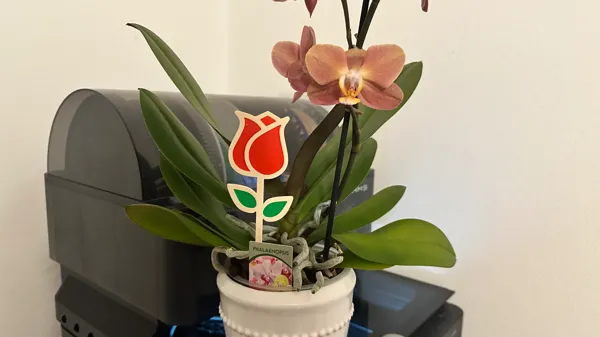 https://makerworld.bblmw.com/makerworld/model/US5c045292ec325b/design/2024-03-01_8cc18b0c00e1f.jpg