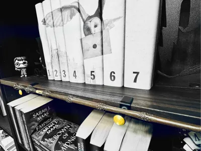 Harry Potter Wand Holder for Bookshelf Billy