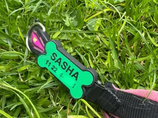 dogtag for harness