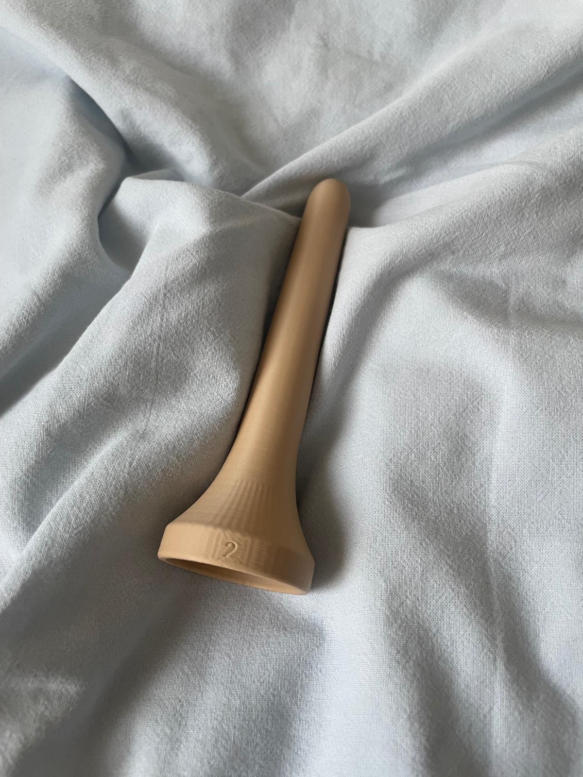 Miniatura 4 do modelo 3D Progressive Pelvic Floor Therapy Dilators