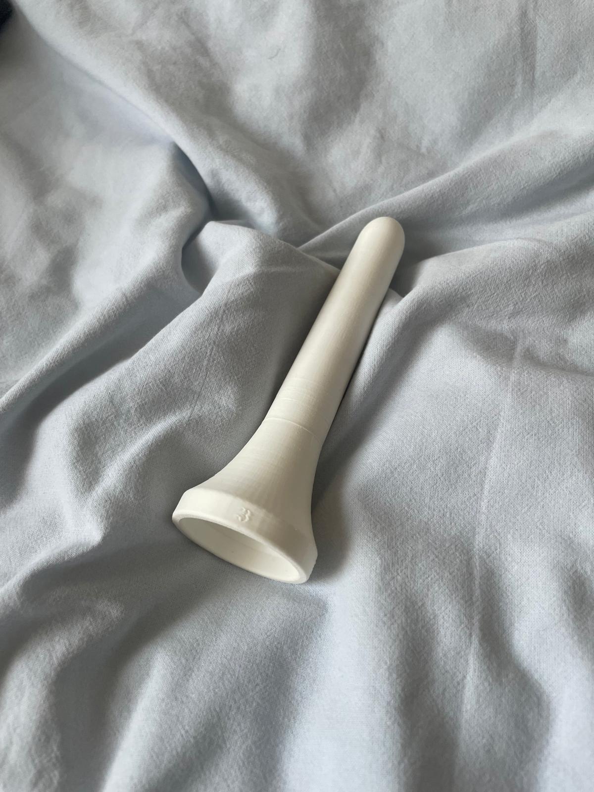Miniatura 5 do modelo 3D Progressive Pelvic Floor Therapy Dilators