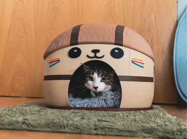 https://makerworld.bblmw.com/makerworld/model/US5c12bd3f52322e/design/66f93a4397ff728f.png