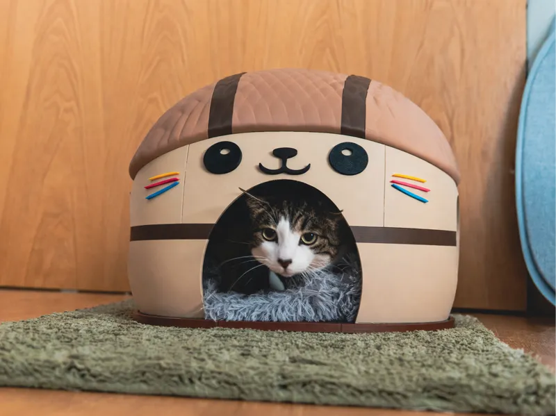 Cute Kawai Cat House - Fullsize Pet Home