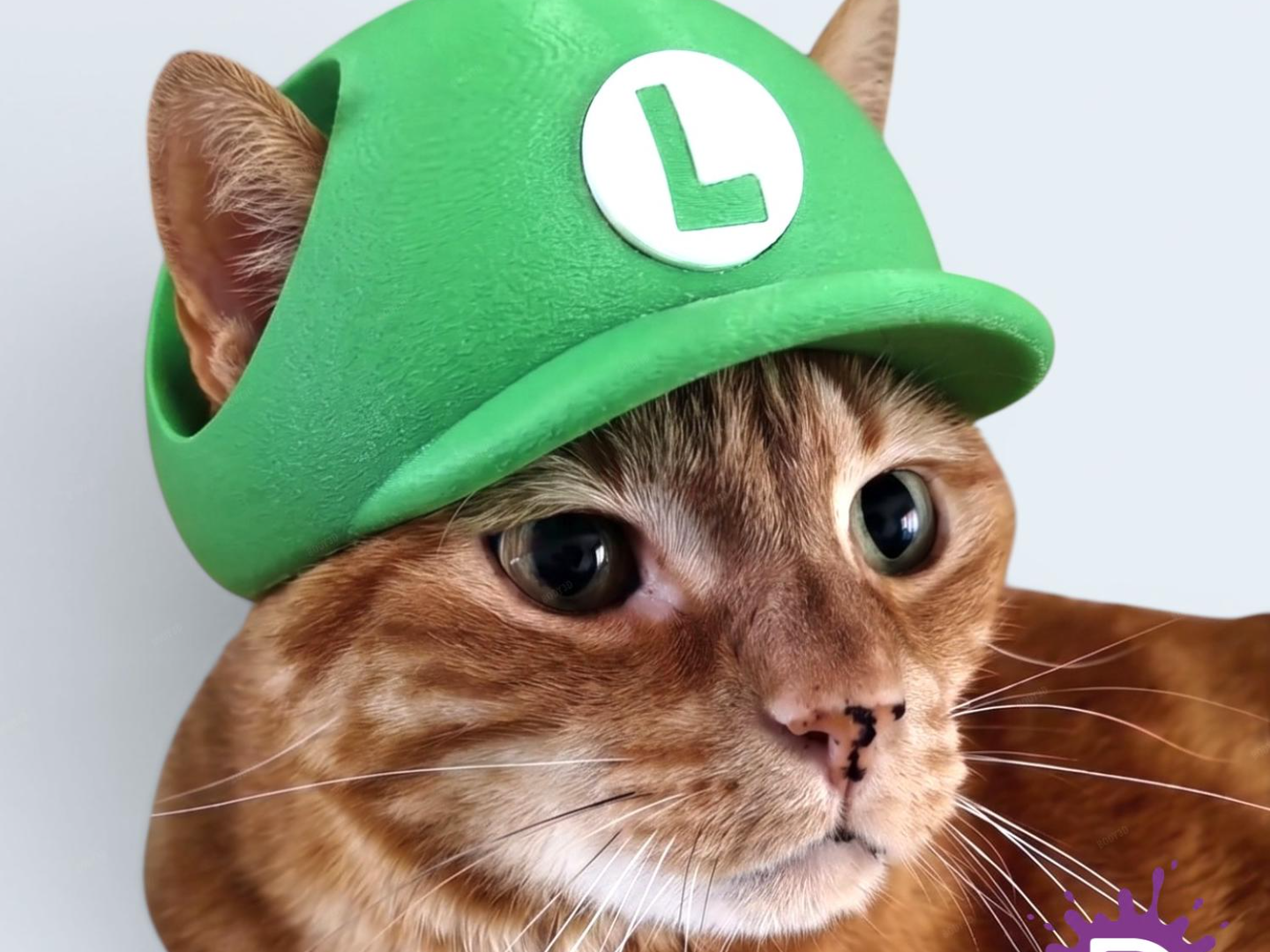 Luigi's Cat Cap