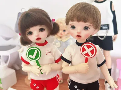 BJD Doll Check-in Right/Wrong Signs