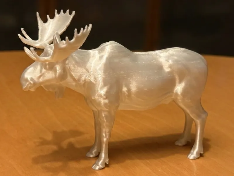 Moose