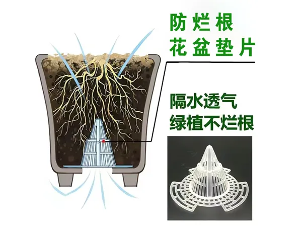 https://makerworld.bblmw.com/makerworld/model/US5c156141a9421e/design/2025-09-07_4c4a1947c0004.jpg