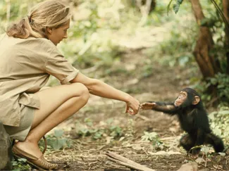 Jane Goodall Memorial Lithopane