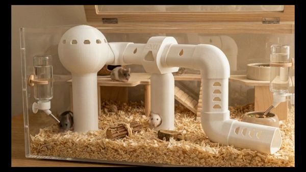 https://makerworld.bblmw.com/makerworld/model/US5c1bf5e73ee289/design/2025-12-09_2f3e3edb283088.gif