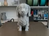 0.12mm layer, 2 walls, 8% infill