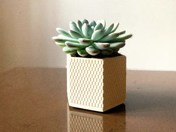 https://makerworld.bblmw.com/makerworld/model/US5c2364aa21828e/design/2025-02-10_e9ac1ab47f786.jpg