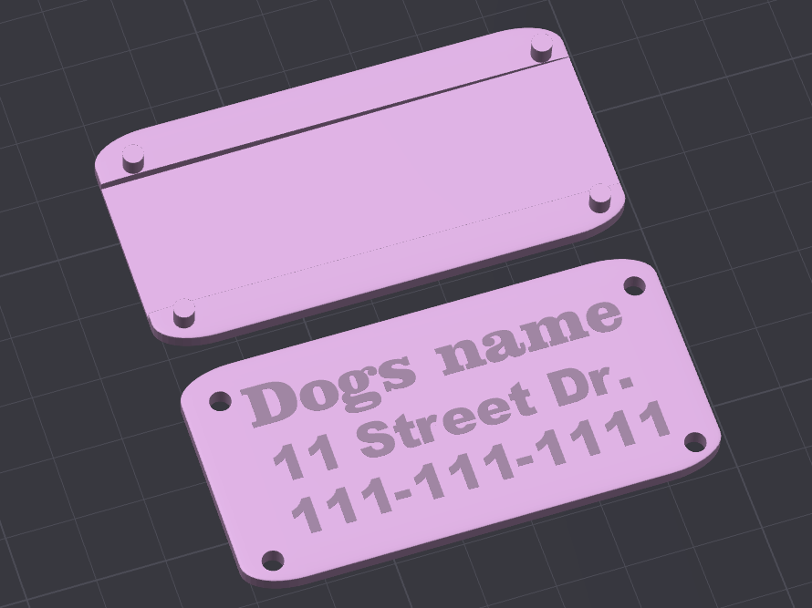 Dog name tag