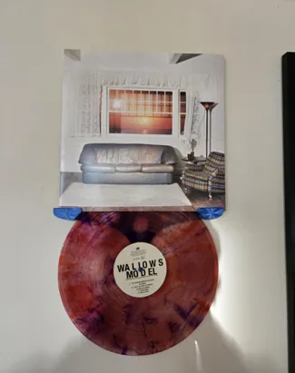 Vinyl record and cover hanger