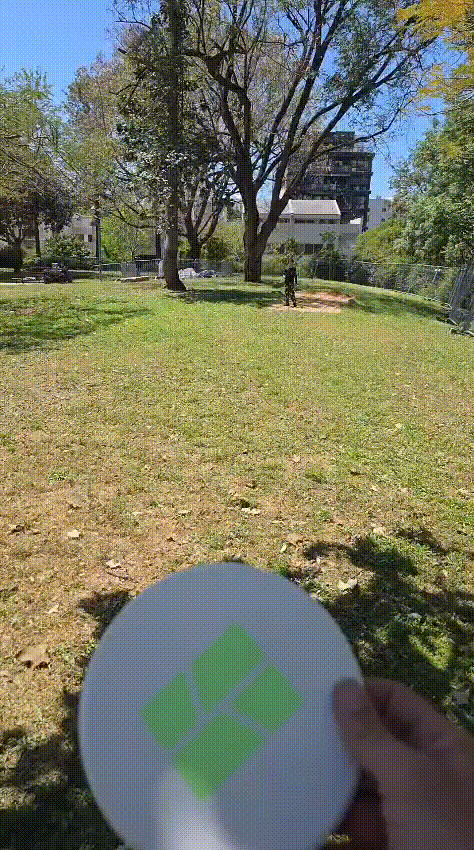 flaying saucer
