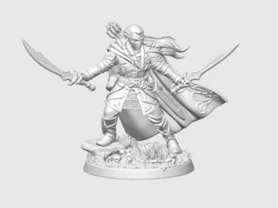 Elf Warrior