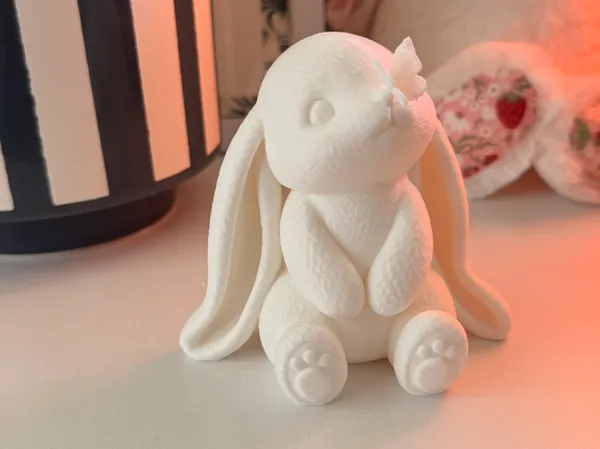 https://makerworld.bblmw.com/makerworld/model/US5c31cbf0e8b403/design/02df5212955e1828.jpeg