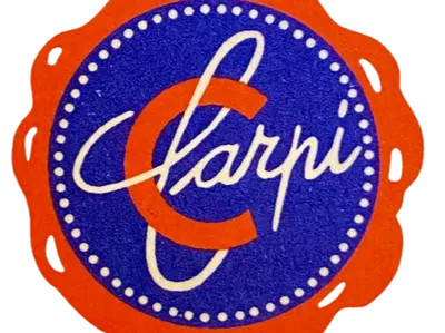 Carpi logo studio pixel